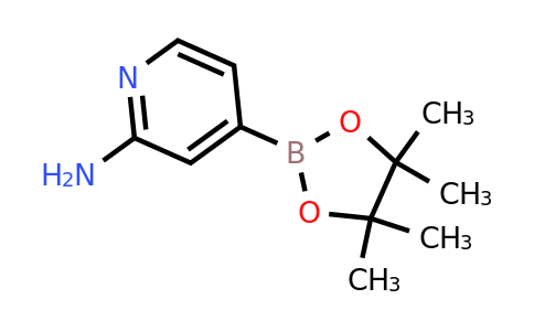 CAS 1195995-72-2 | 2-Aminopyridine-4-boronic acid pinacol ester