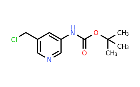 CAS 1196153-37-3 | Tert-butyl 5-(chloromethyl)pyridin-3-ylcarbamate