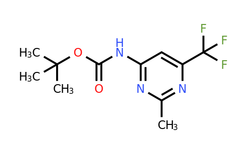 CAS 1196155-03-9 | Tert-butyl 6-(trifluoromethyl)-2-methylpyrimidin-4-ylcarbamate