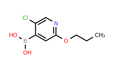 CAS 1196699-78-1 | (5-Chloro-2-propoxy-4-pyridinyl)boronic acid