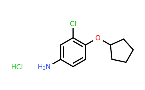 CAS 1197687-18-5 | 3-Chloro-4-(cyclopentyloxy)aniline hydrochloride