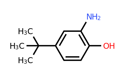 CAS 1199-46-8 | 2-Amino-4-tert-butylphenol
