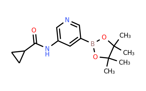 CAS 1201644-35-0 | 5-(Cyclopropanecarboxamido)pyridine-3-boronic acid pinacol ester