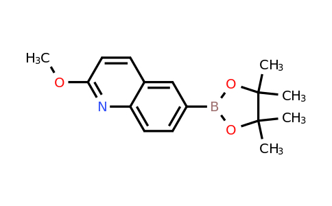 CAS 1201644-36-1 | 2-Methoxy-6-(4,4,5,5-tetramethyl-1,3,2-dioxaborolan-2-yl)quinoline