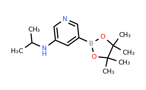 CAS 1201644-38-3 | 5-(Isopropylamino)pyridine-3-boronic acid pinacol ester