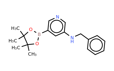 CAS 1201645-45-5 | 5-N-Benzyl-amino-pyridin-3-ylboronic acid pinacol ester