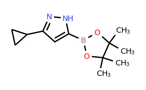 CAS 1201678-44-5 | 3-Cyclopropyl-1H-pyrazole-5-boronic acid pinacol ester