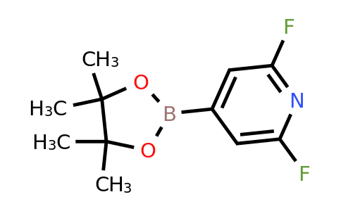 CAS 1204333-58-3 | 2,6-Difluoropyridine-4-boronic acid pinacol ester