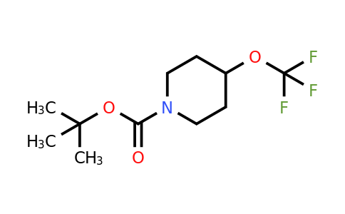CAS 1206523-86-5 | tert-butyl 4-(trifluoromethoxy)piperidine-1-carboxylate