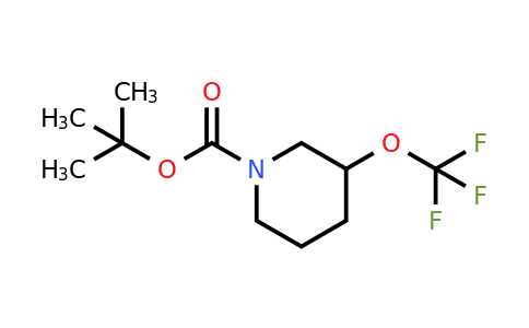 CAS 1206524-11-9 | tert-butyl 3-(trifluoromethoxy)piperidine-1-carboxylate