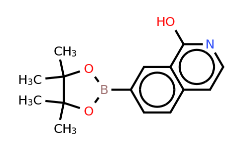 CAS 1207448-16-5 | 1-Oxo-2H-isoquinoline-7-boronic acid pinacal ester