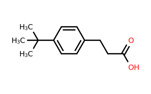 CAS 1208-64-6 | 3-(4-tert-butylphenyl)propanoic acid