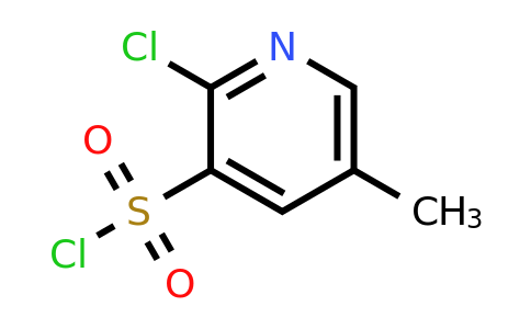CAS 1208081-98-4 | 2-chloro-5-methylpyridine-3-sulfonyl chloride