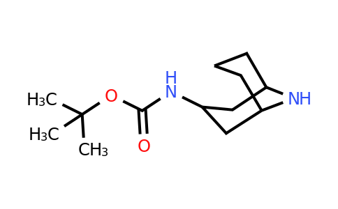 CAS 1208530-70-4 | tert-butyl N-(9-azabicyclo[3.3.1]nonan-3-yl)carbamate