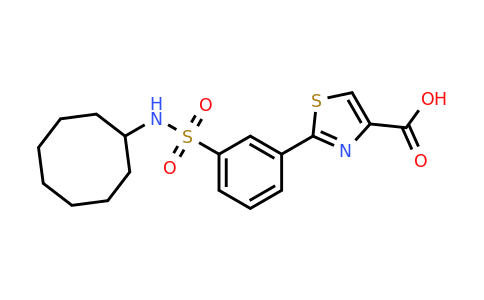 CAS 1208712-29-1 | 2-[3-(Cyclooctylsulfamoyl)phenyl]-1,3-thiazole-4-carboxylic acid