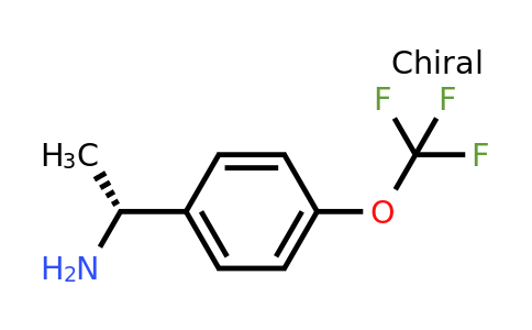 CAS 1209050-26-9 | (R)-1-(4-(Trifluoromethoxy)phenyl)ethanamine