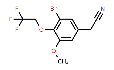 CAS 1209382-96-6 | 2-[3-Bromo-5-methoxy-4-(2,2,2-trifluoroethoxy)phenyl]acetonitrile