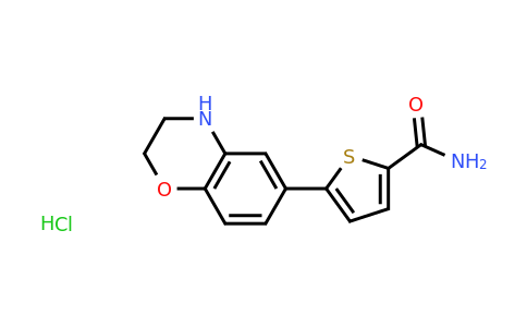 CAS 1209773-69-2 | 5-(3,4-Dihydro-2H-1,4-benzoxazin-6-yl)thiophene-2-carboxamide hydrochloride