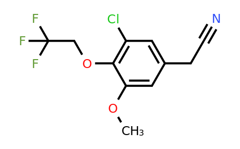 CAS 1209937-54-1 | 2-[3-Chloro-5-methoxy-4-(2,2,2-trifluoroethoxy)phenyl]acetonitrile
