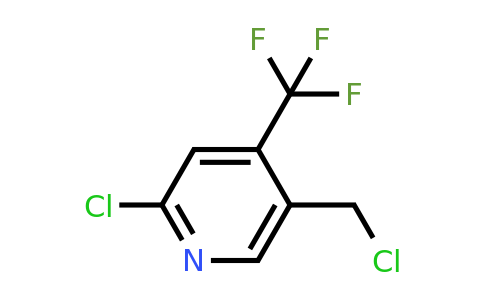 CAS 1211515-07-9 | 2-Chloro-5-(chloromethyl)-4-(trifluoromethyl)pyridine