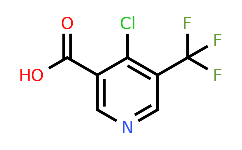 CAS 1211520-84-1 | 4-Chloro-5-(trifluoromethyl)nicotinic acid