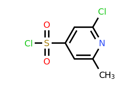 CAS 1211527-22-8 | 2-Chloro-6-methylpyridine-4-sulfonyl chloride