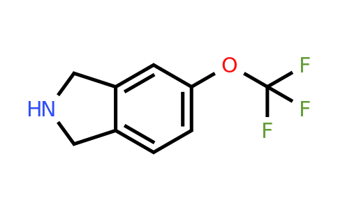 CAS 1211532-42-1 | 5-(trifluoromethoxy)-2,3-dihydro-1H-isoindole