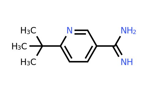 6-tert-butylpyridine-3-carboximidamide