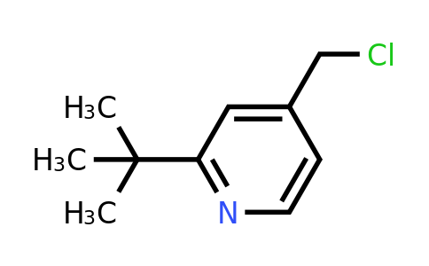 CAS 1211533-10-6 | 2-Tert-butyl-4-(chloromethyl)pyridine