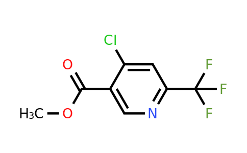 CAS 1211539-36-4 | Methyl 4-chloro-6-(trifluoromethyl)nicotinate