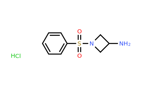 CAS 1211541-61-5 | 1-(Phenylsulfonyl)azetidin-3-amine hydrochloride