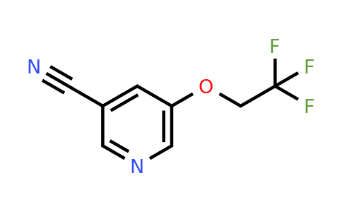 CAS 1211581-84-8 | 5-(2,2,2-trifluoroethoxy)pyridine-3-carbonitrile