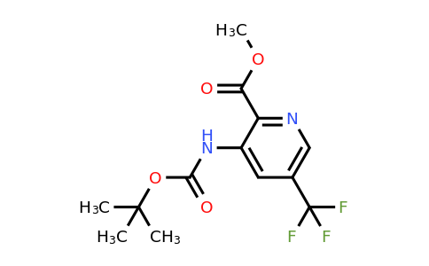 3-tert-Butoxycarbonylamino-5-trifluoromethyl-pyridine-2-carboxylic acid methyl ester