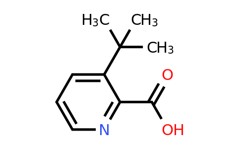 CAS 1211584-45-0 | 3-(tert-Butyl)picolinic acid