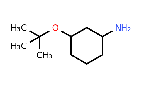 CAS 1211592-87-8 | 3-(tert-butoxy)cyclohexan-1-amine
