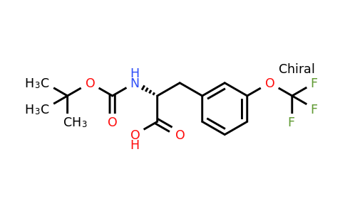 CAS 1213920-25-2 | (2R)-2-[(Tert-butoxy)carbonylamino]-3-[3-(trifluoromethoxy)phenyl]propanoic acid
