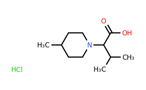 CAS 1214119-76-2 | 3-Methyl-2-(4-methylpiperidin-1-yl)butanoic acid hydrochloride