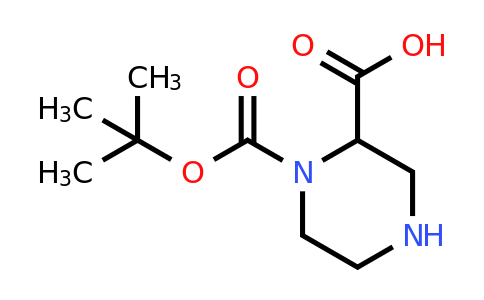 CAS 1214196-85-6 | 1-[(tert-butoxy)carbonyl]piperazine-2-carboxylic acid