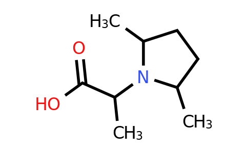 CAS 1214822-69-1 | 2-(2,5-Dimethylpyrrolidin-1-yl)propanoic acid