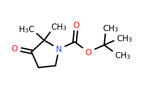 CAS 1215295-96-7 | tert-Butyl 2,2-dimethyl-3-oxopyrrolidine-1-carboxylate