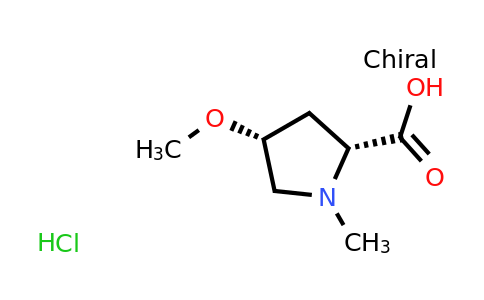 CAS 1215385-33-3 | D-​Proline, 4-​methoxy-​1-​methyl-​, (4R)​- hydrochloride