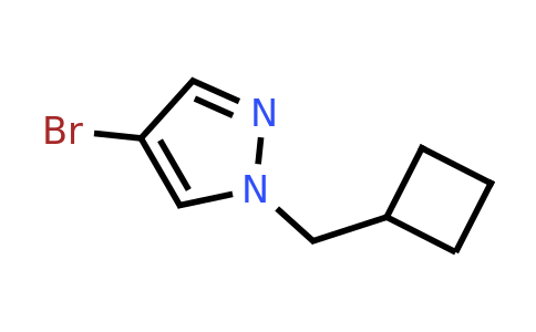 CAS 1216096-92-2 | 4-bromo-1-(cyclobutylmethyl)-1H-pyrazole