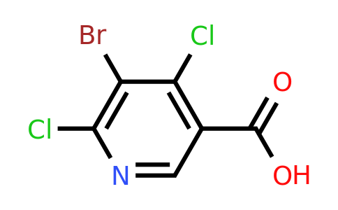 CAS 1216474-94-0 | 5-bromo-4,6-dichloro-pyridine-3-carboxylic acid