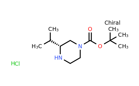 CAS 1217444-26-2 | (R)-tert-Butyl 3-isopropylpiperazine-1-carboxylate hydrochloride