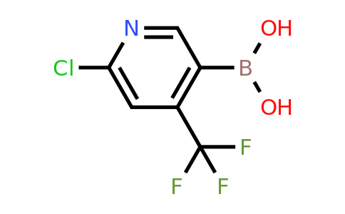CAS 1217500-87-2 | 6-Chloro-4-(trifluoromethyl)pyridine-3-boronic acid
