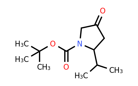 CAS 1217527-22-4 | tert-butyl 4-oxo-2-(propan-2-yl)pyrrolidine-1-carboxylate