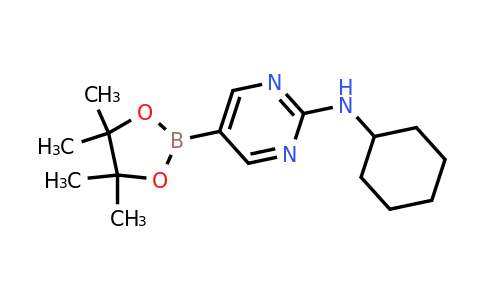 CAS 1218789-35-5 | N-Cyclohexyl-5-(4,4,5,5-tetramethyl-1,3,2-dioxaborolan-2-yl)pyrimidin-2-amine