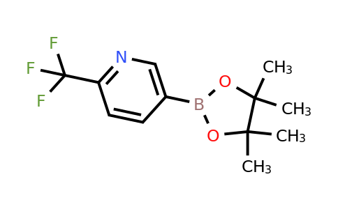 CAS 1218790-39-6 | 5-(4,4,5,5-Tetramethyl-1,3,2-dioxaborolan-2-YL)-2-(trifluoromethyl)pyridine