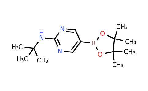 CAS 1218791-43-5 | N-(tert-Butyl)-5-(4,4,5,5-tetramethyl-1,3,2-dioxaborolan-2-yl)pyrimidin-2-amine