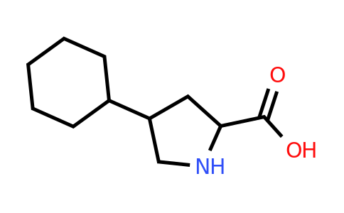CAS 1219214-76-2 | 4-Cyclohexyl-pyrrolidine-2-carboxylic acid